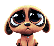 DOG image