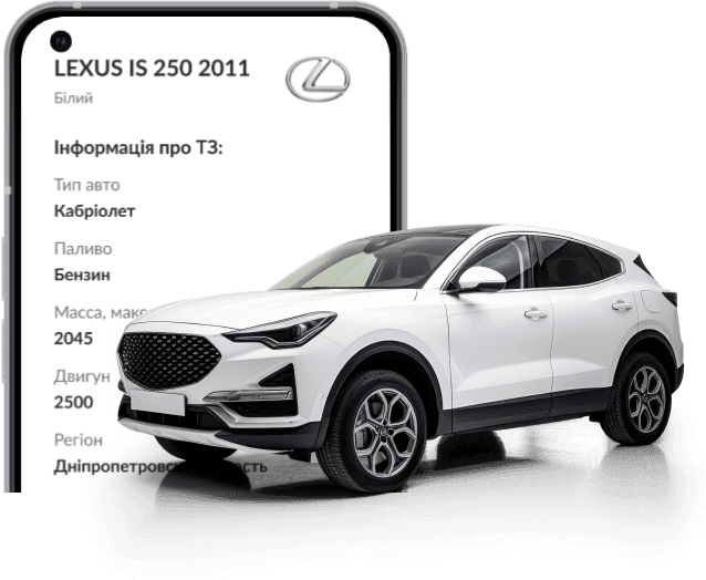 Auto check