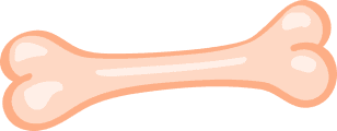 Pets bone