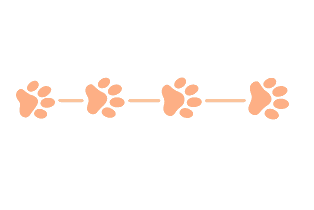 Paws prints