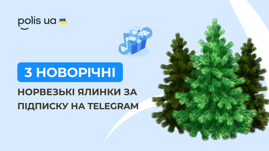 Розыгрыш 3-х живых норвежских елок за подписку на Telegram-канал