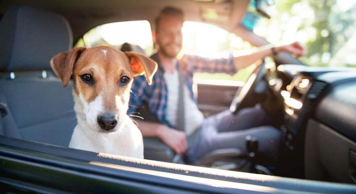 Сколько стоит страховка на авто в 2020 году?