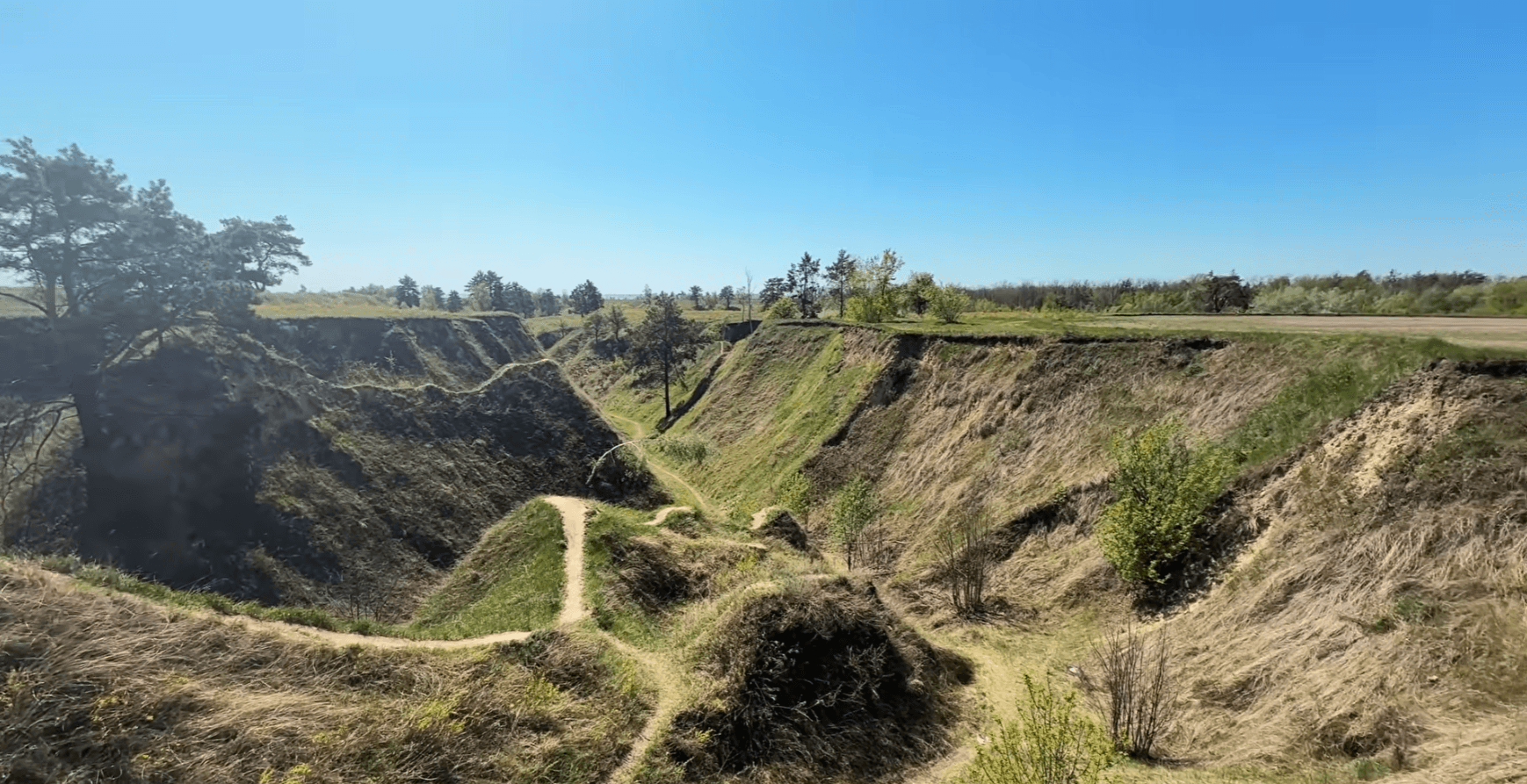 Васильків
